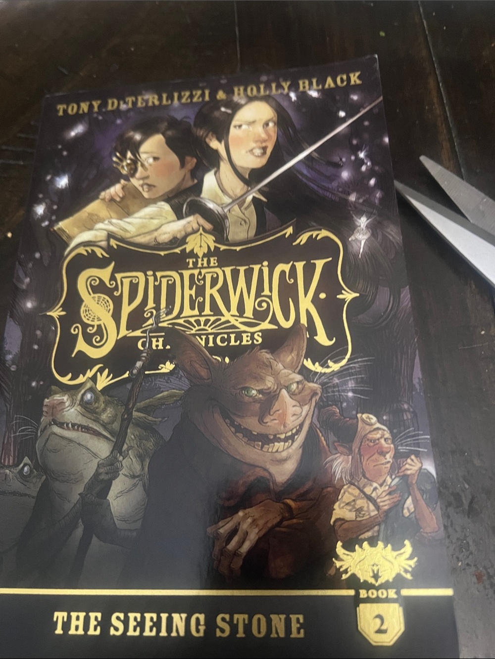 Spiderwick Chronicles- the seeing stone book 2